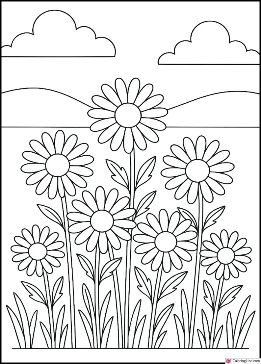 Daisies in a field under clear clouds and gentle hills