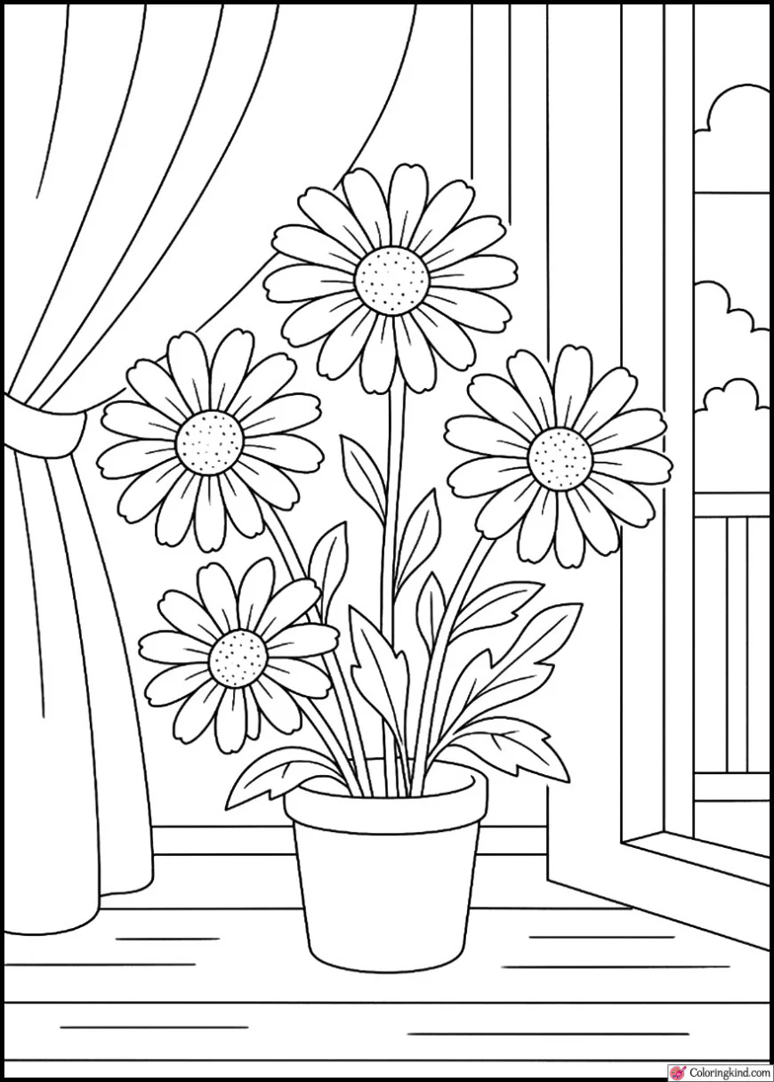 Daisies in a small pot beside a window with flowing curtains