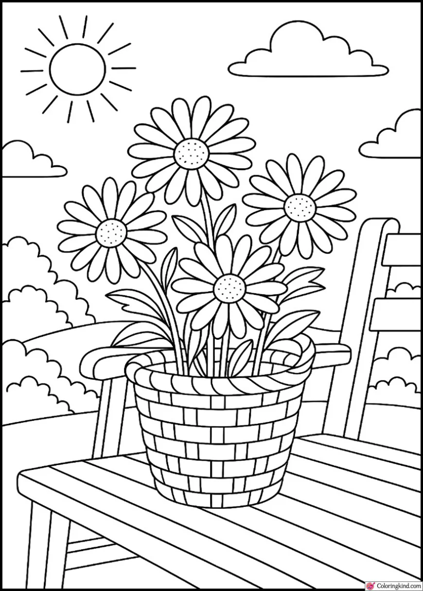 Daisies in a basket on a garden bench under sunshine