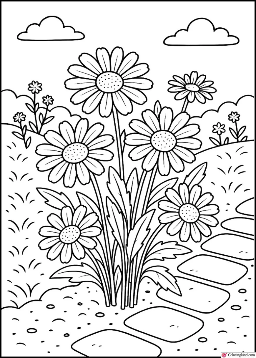 Daisies growing in garden soil beside stone path