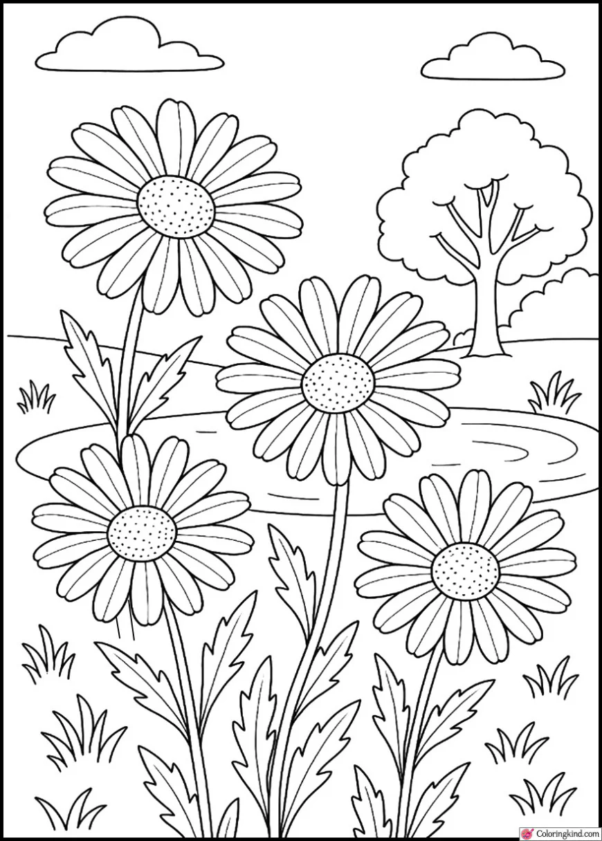 Daisies blooming near a small pond and trees