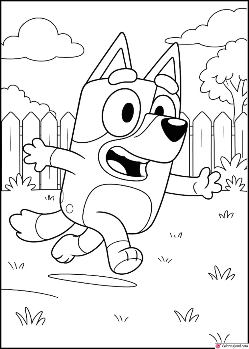 Bluey playing tag in the backyard