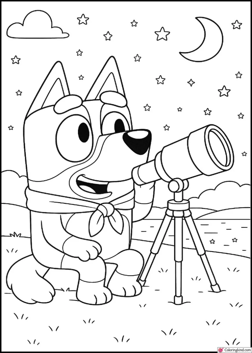 Bluey stargazing with her telescope