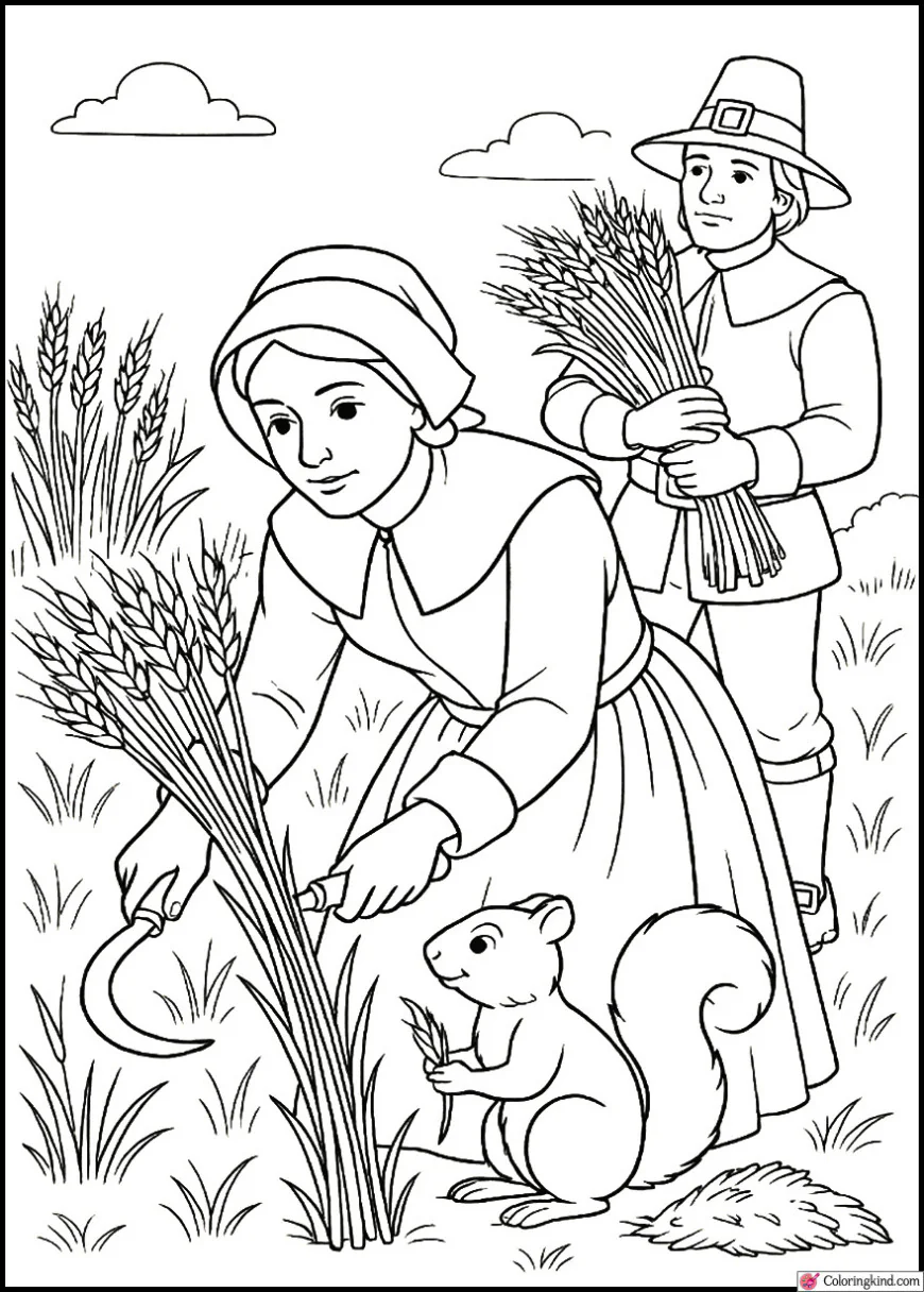 Pilgrims Harvesting Wheat