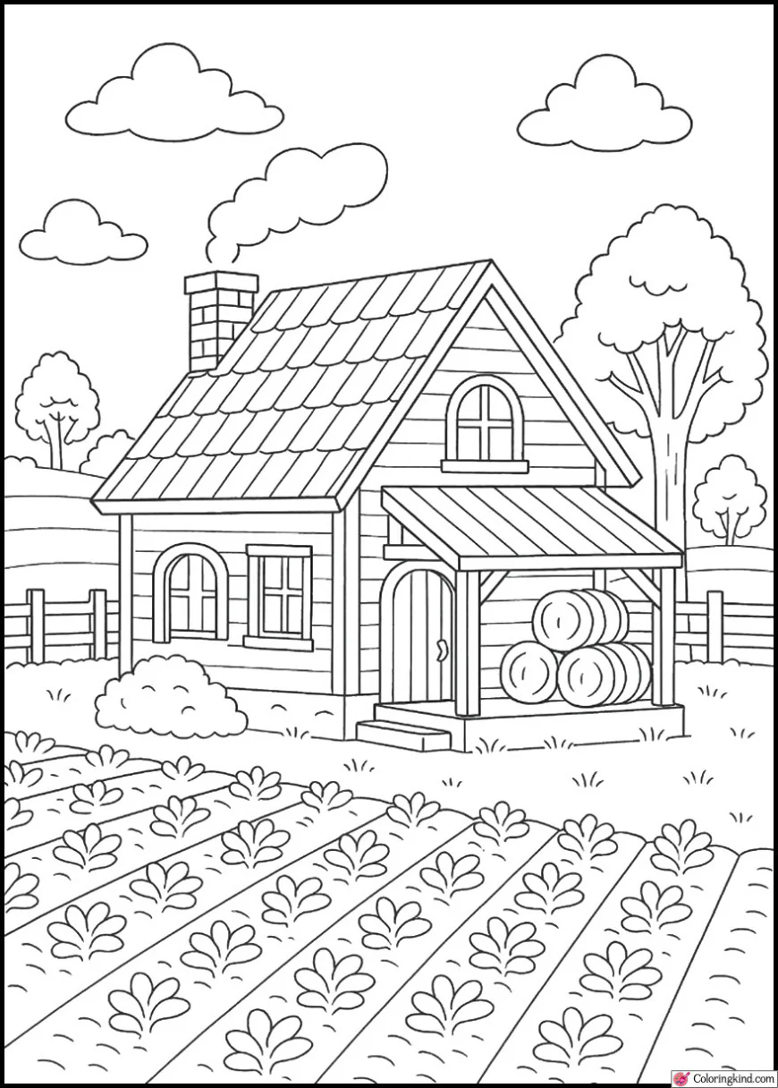 Farmer’s House beside Crop Fields