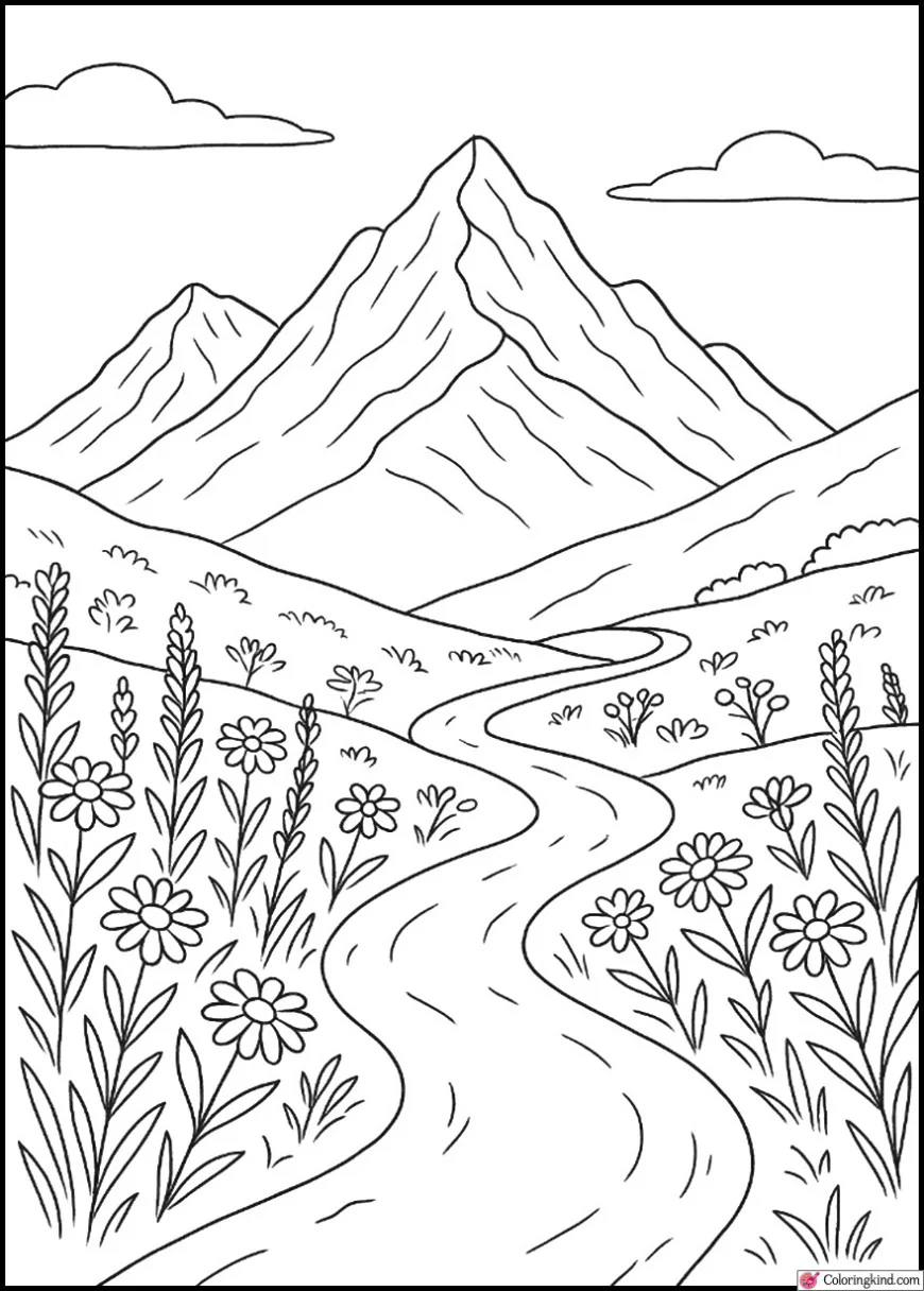 Mountain Trail with Wildflowers in Bloom