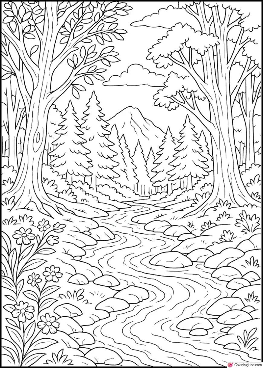 Enchanted Forest with Gentle Stream