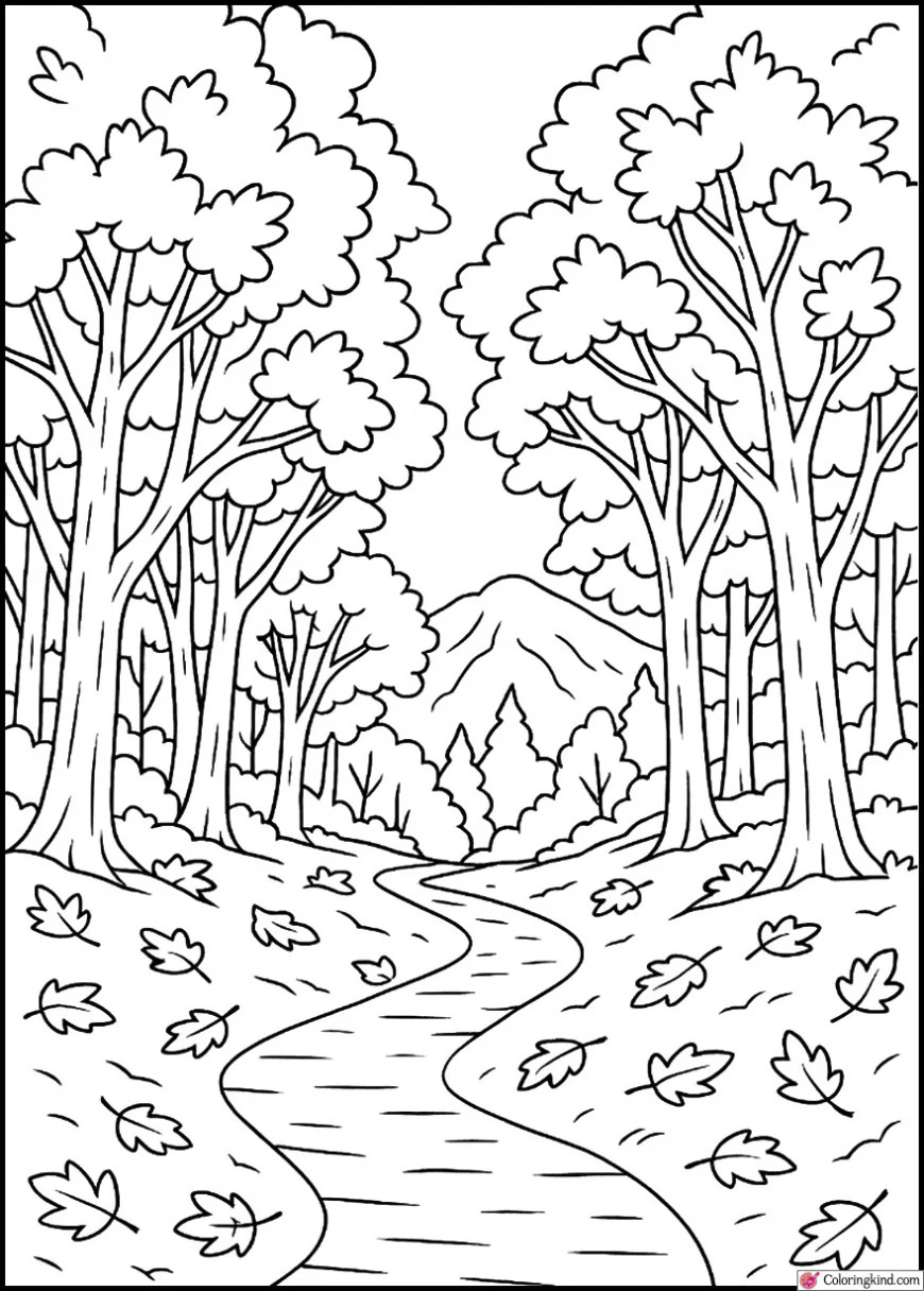 Pathway Through Autumn Woods