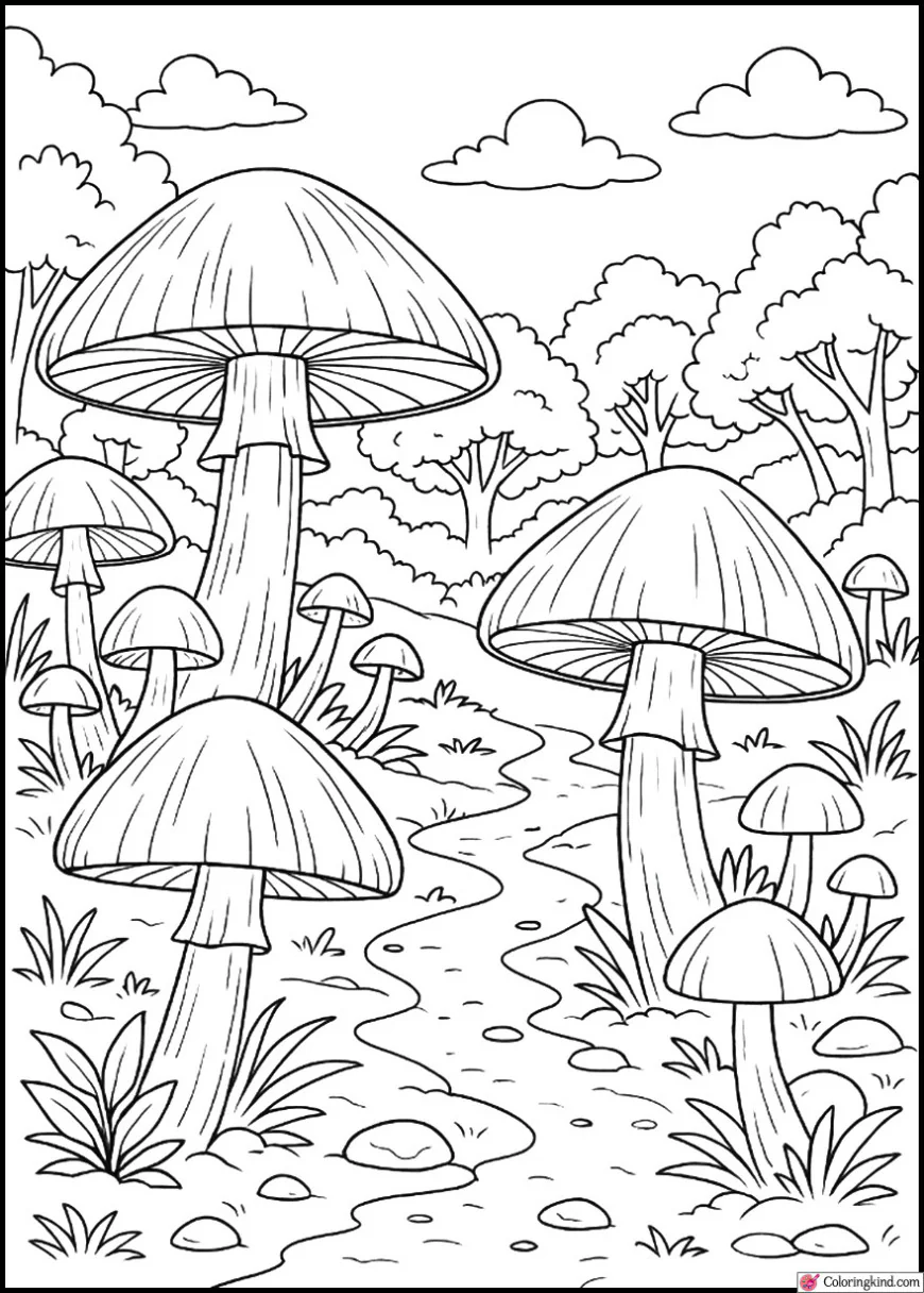 Secret Glade Full of Wild Mushrooms