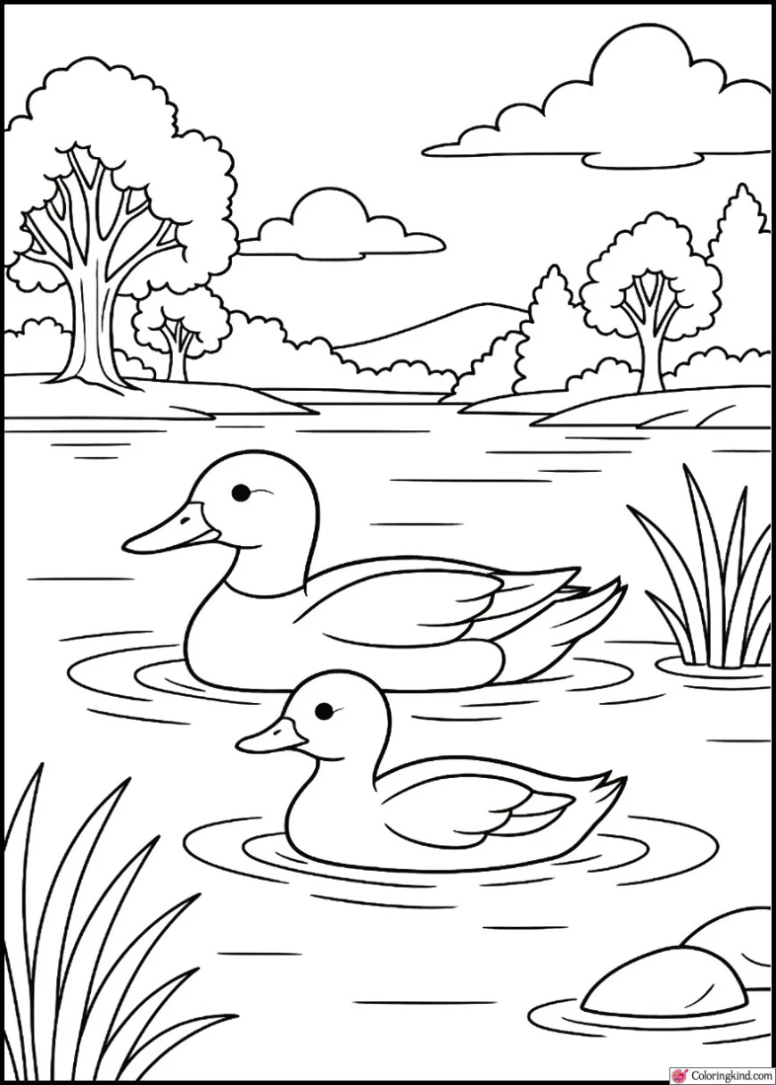 Ducks Swimming on a Quiet Lake