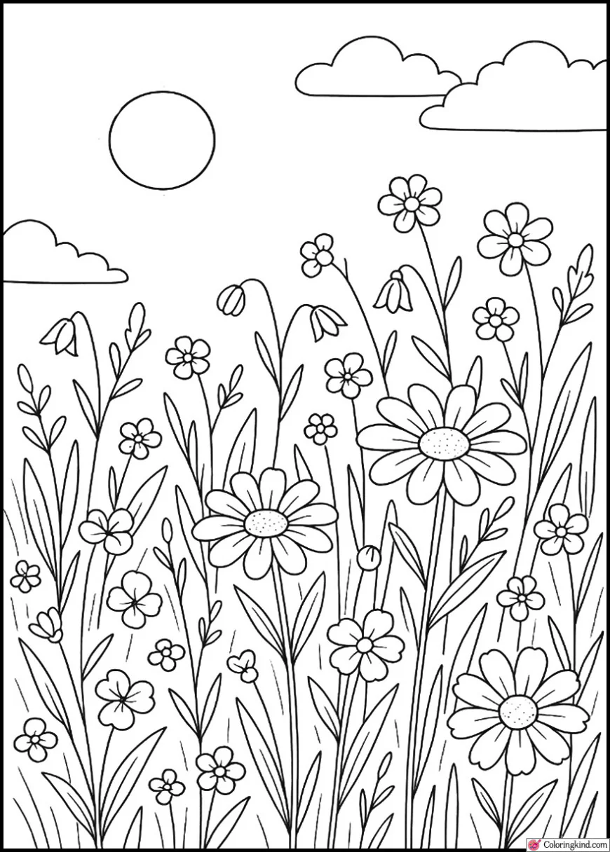 Flower Meadow Under a Bright Sky