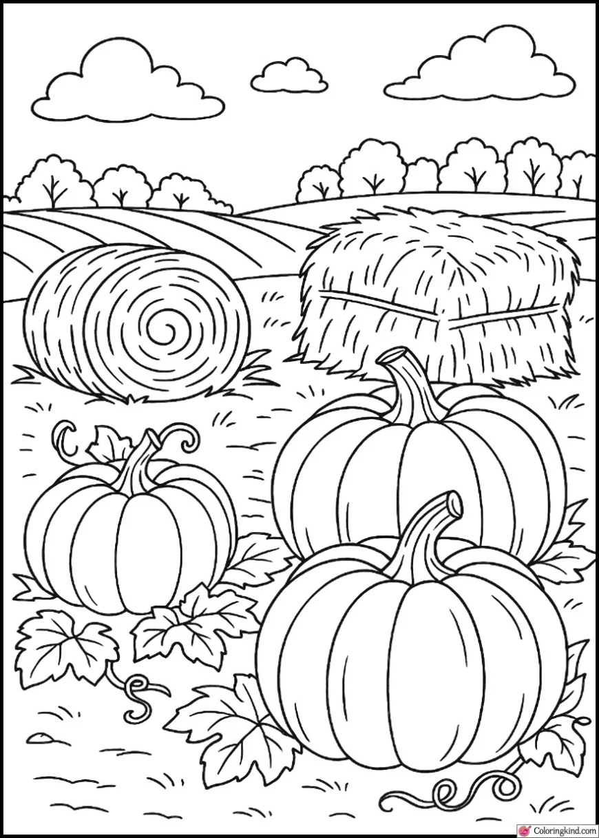 Harvest Scene with Pumpkins and Hay