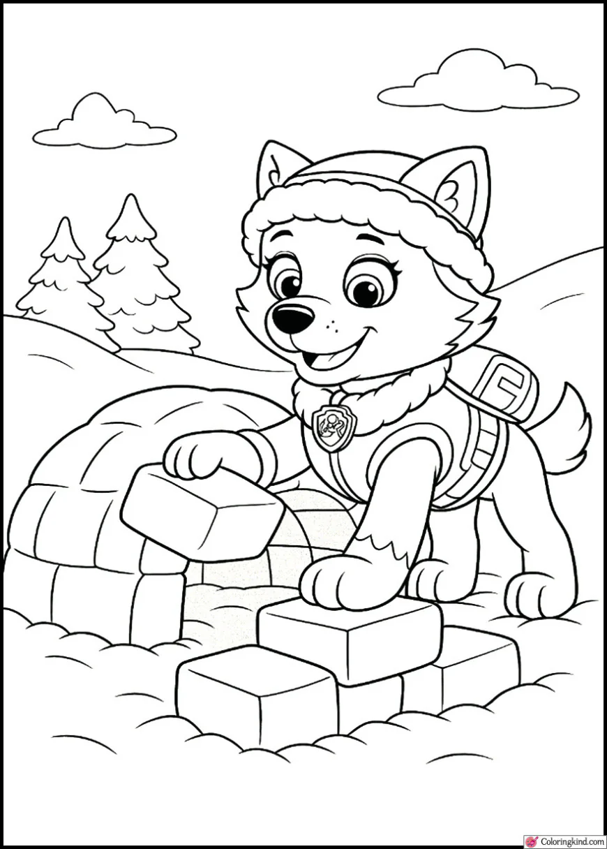 Everest Building a Snow Shelter