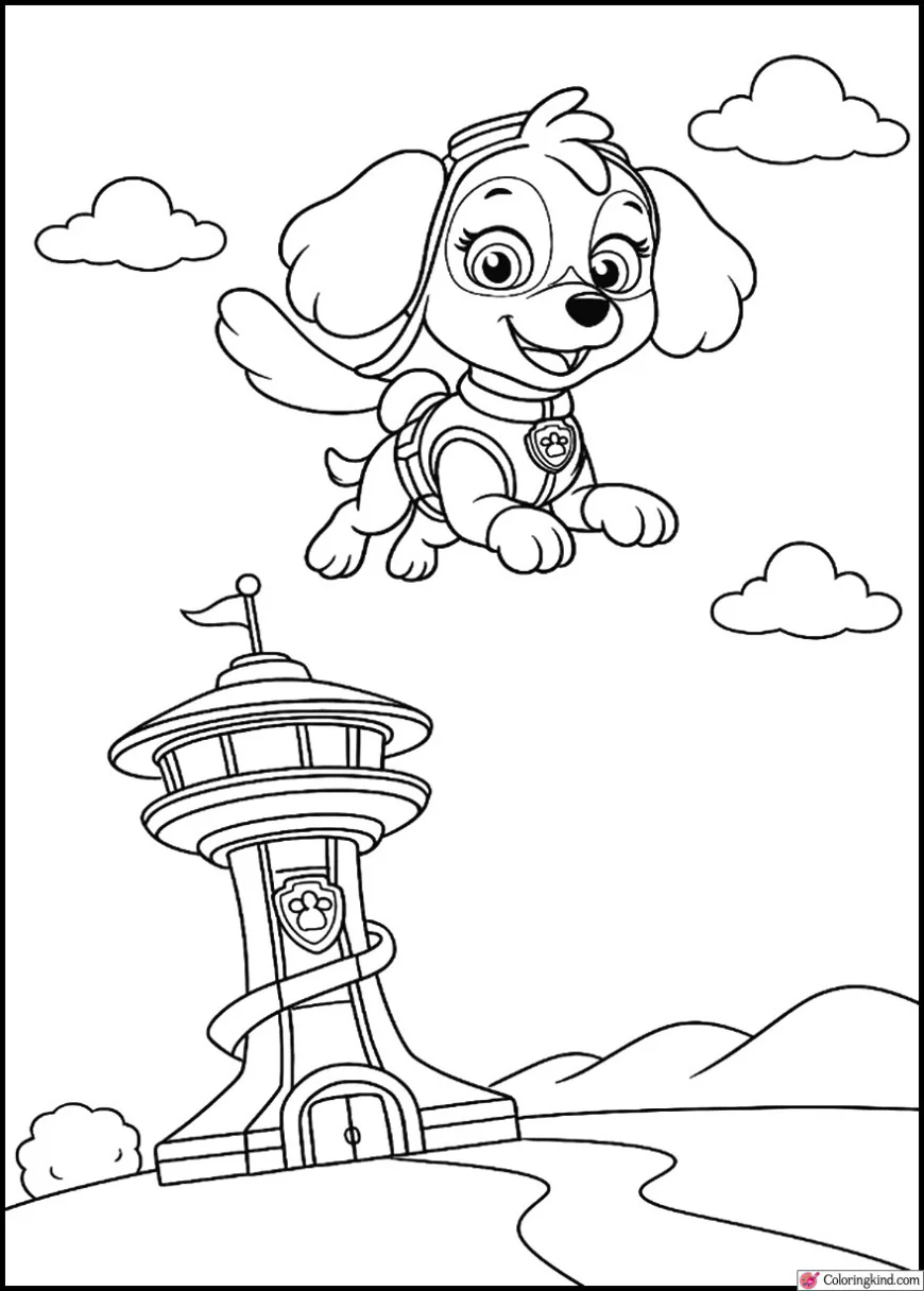 Skye Hovering Over the Lookout Tower