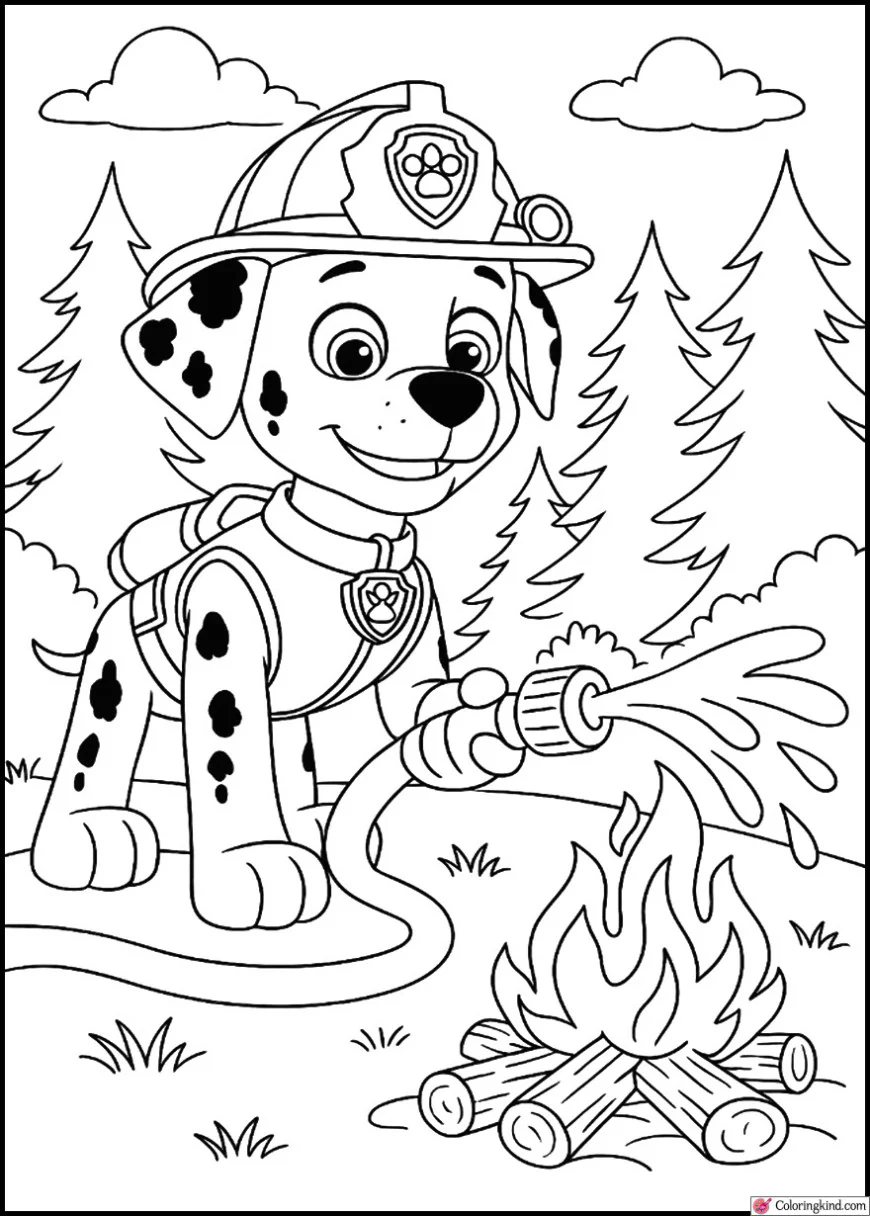 Marshall Putting Out a Campfire in the Forest