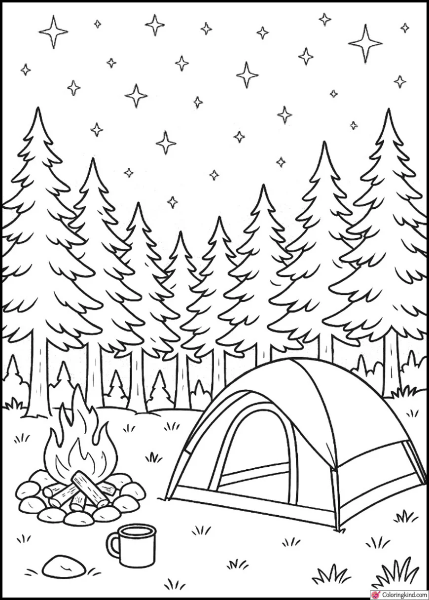 Camping Under Sparkling Stars in Pine Forest