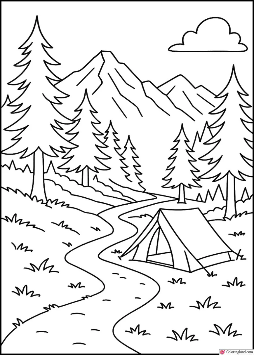 Hiking Trail Leading to a Remote Campsite View