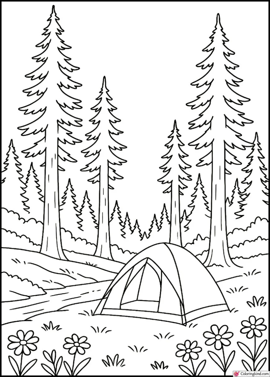 Scenic Forest Camp With Tall Pines and Clear Sky