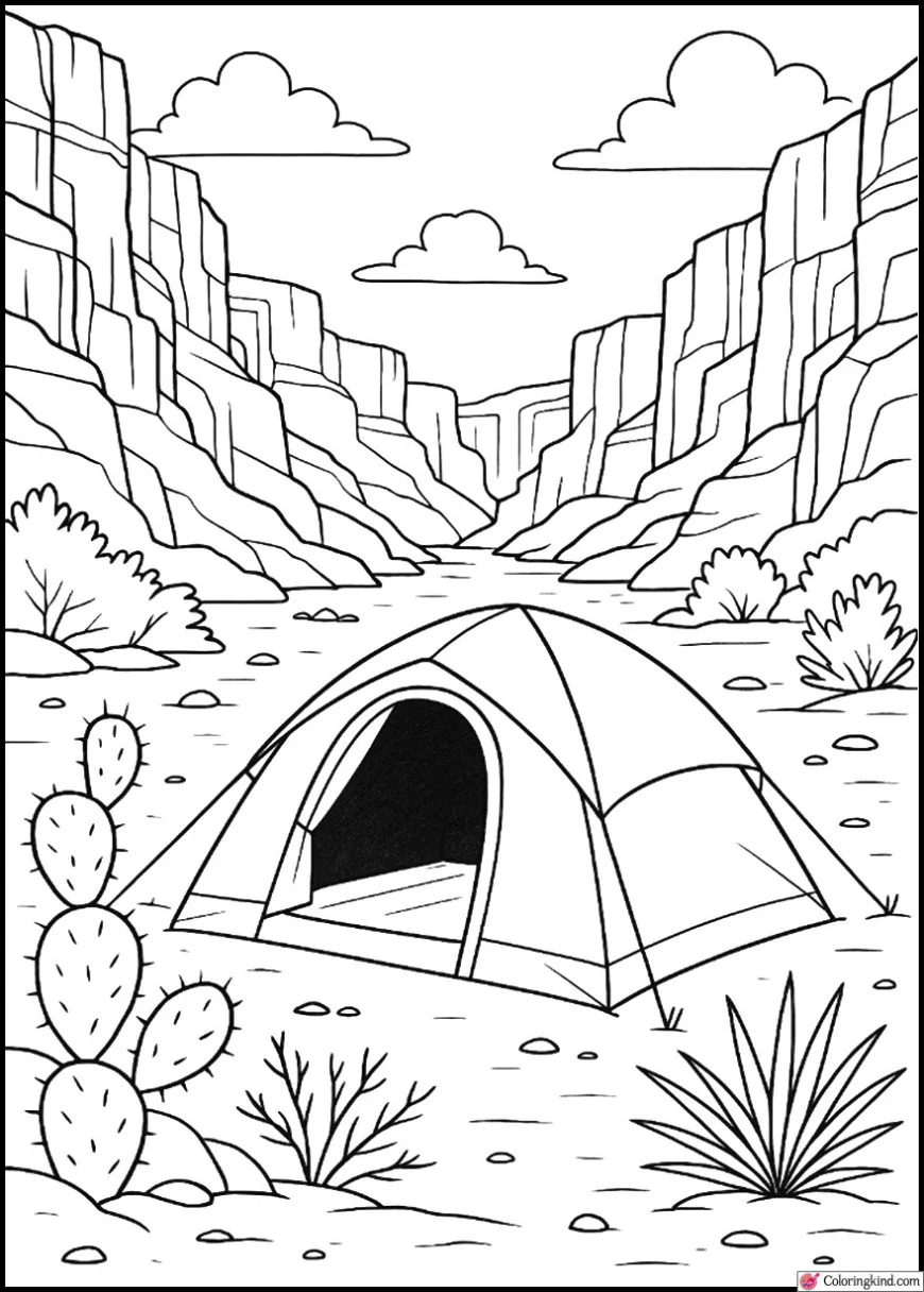 Tent Near Rocky Canyon with Desert Plants