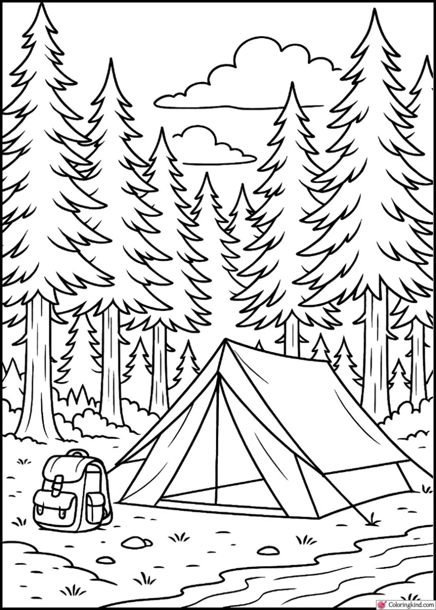 Adventure Camp in Deep Evergreen Forest