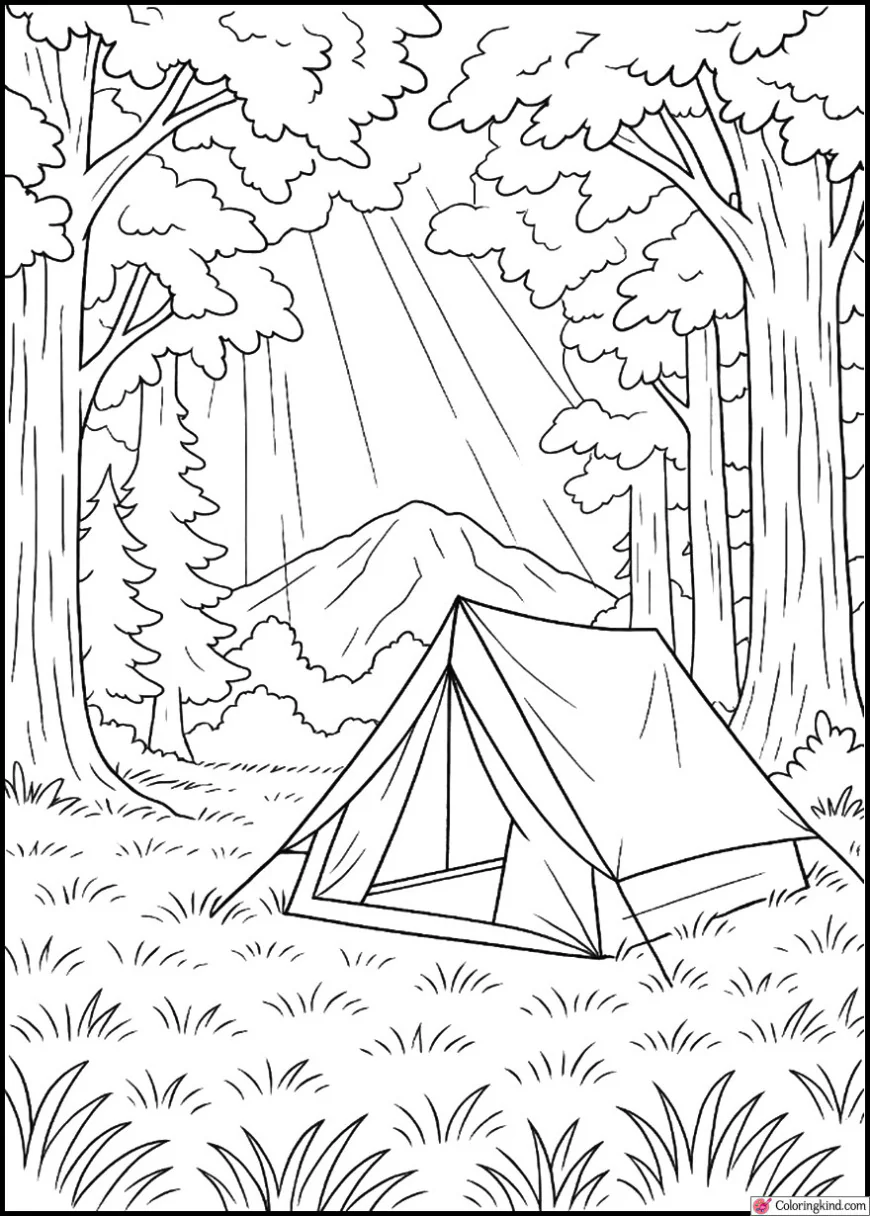Forest Clearing Camp With Soft Grass and Sunbeams