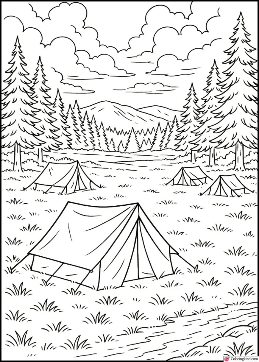 Tent Village at the Edge of a Wide Meadow