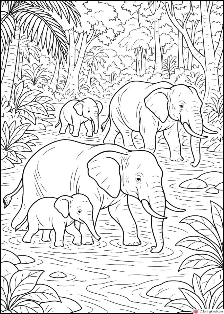 Elephant Herd Crossing Shallow Jungle Stream
