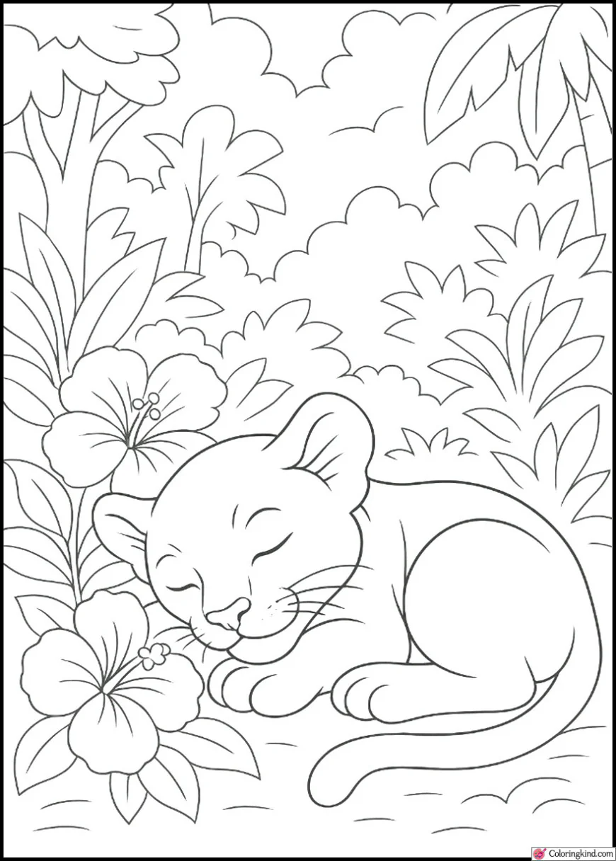 Panther Cub Sleeping Beside Jungle Flowers