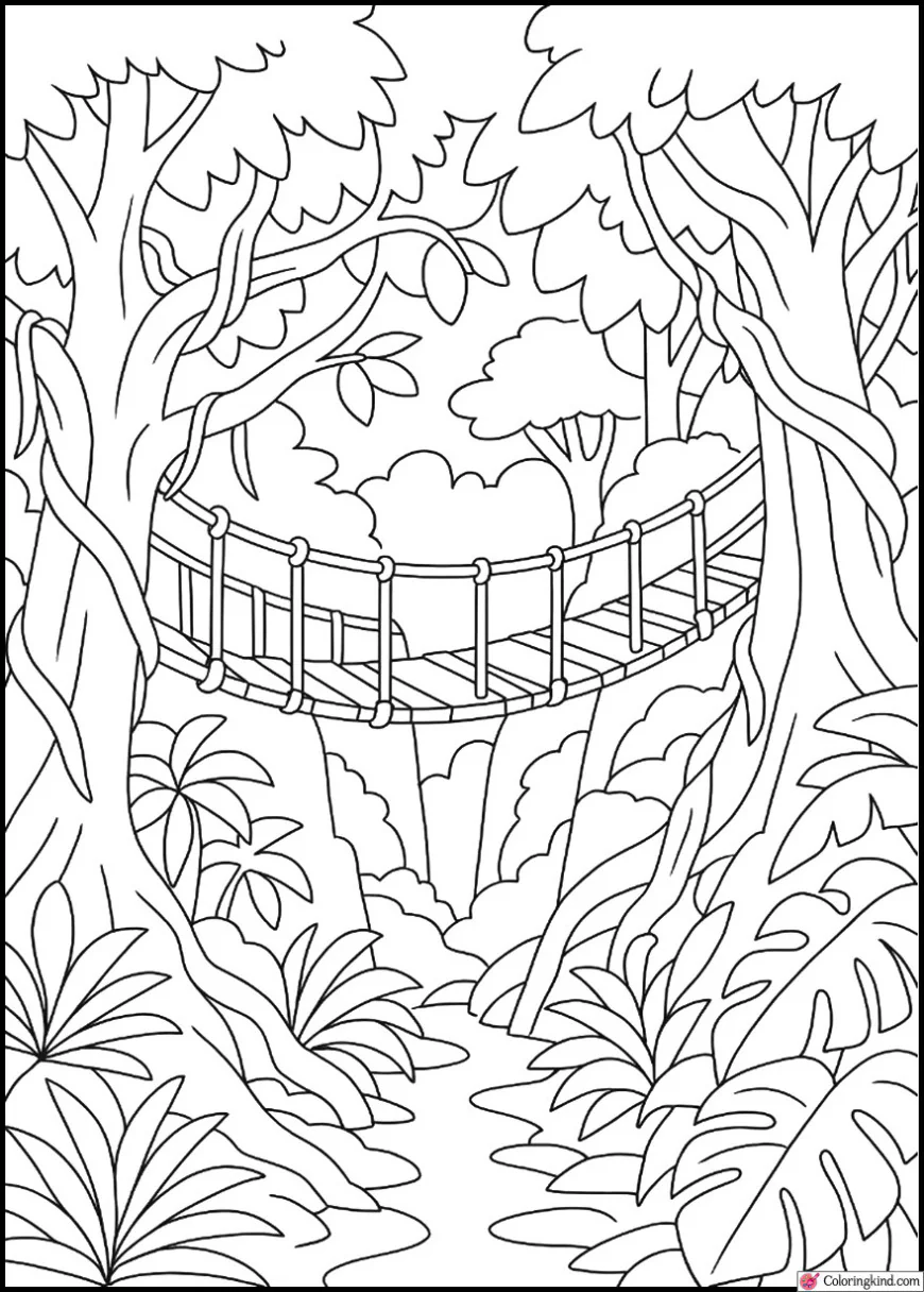 Jungle Canopy Bridge Between Two Giant Trees