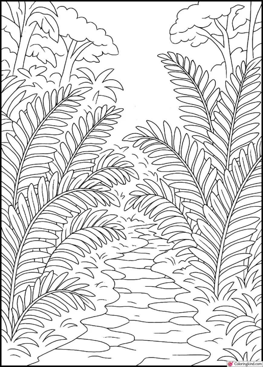 Jungle Path Lined With Enormous Ferns