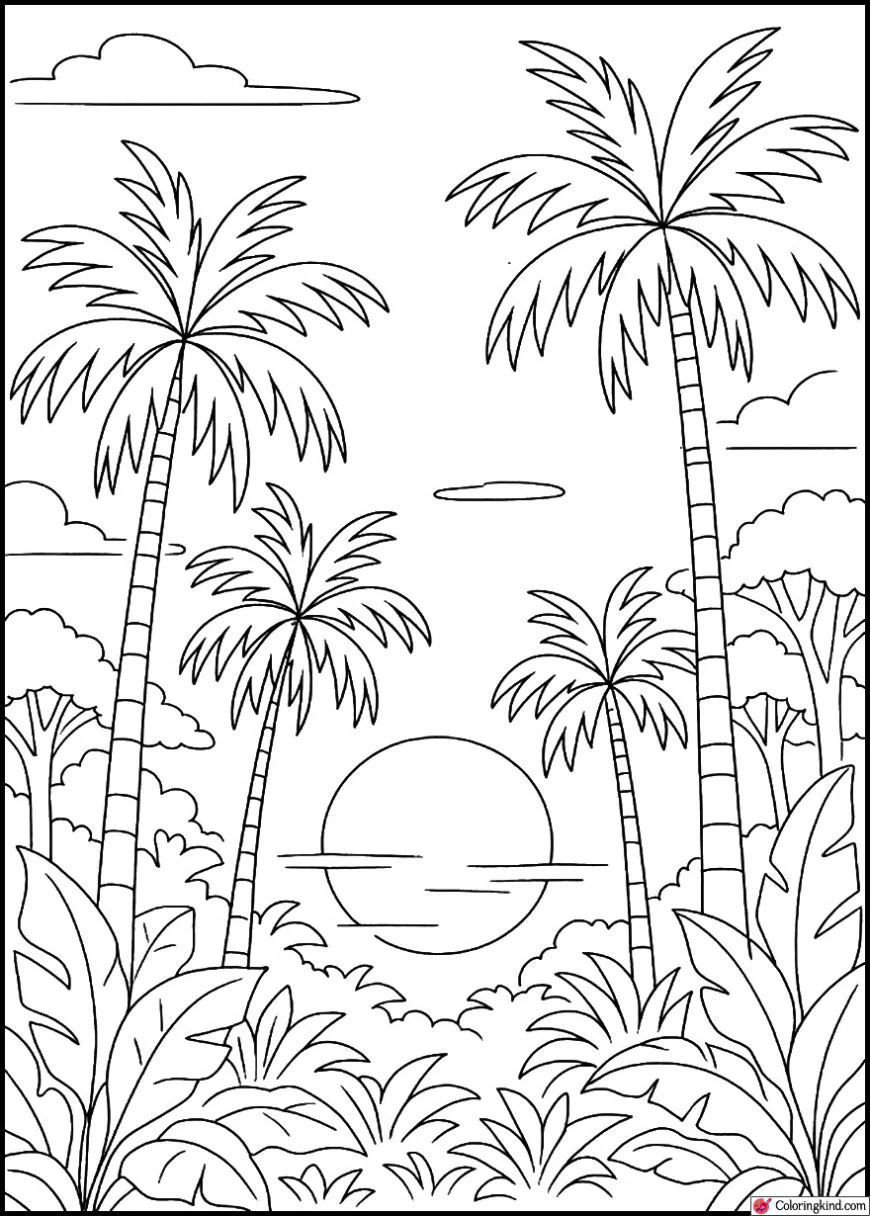 Jungle Sunset Behind Silhouetted Tall Palms