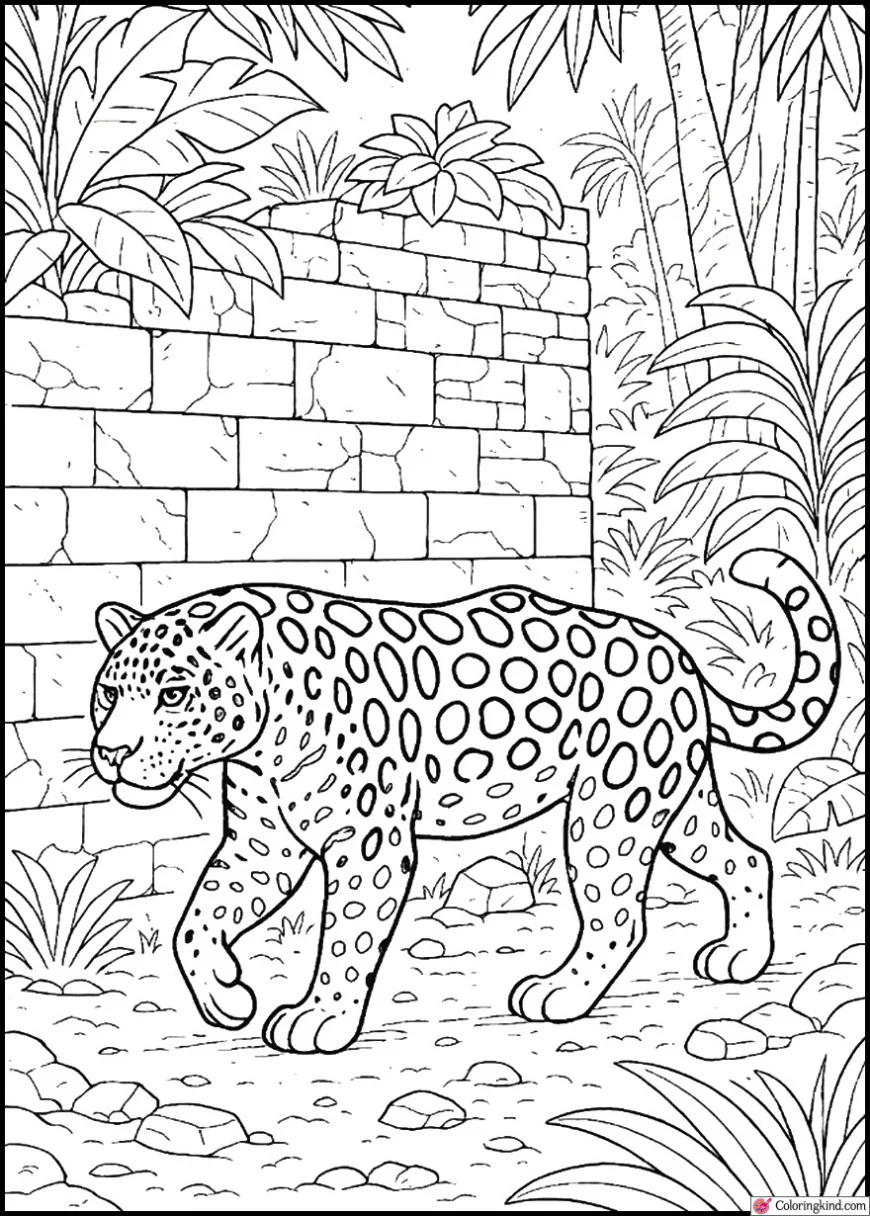 Jaguar Walking Beside Ancient Jungle Wall