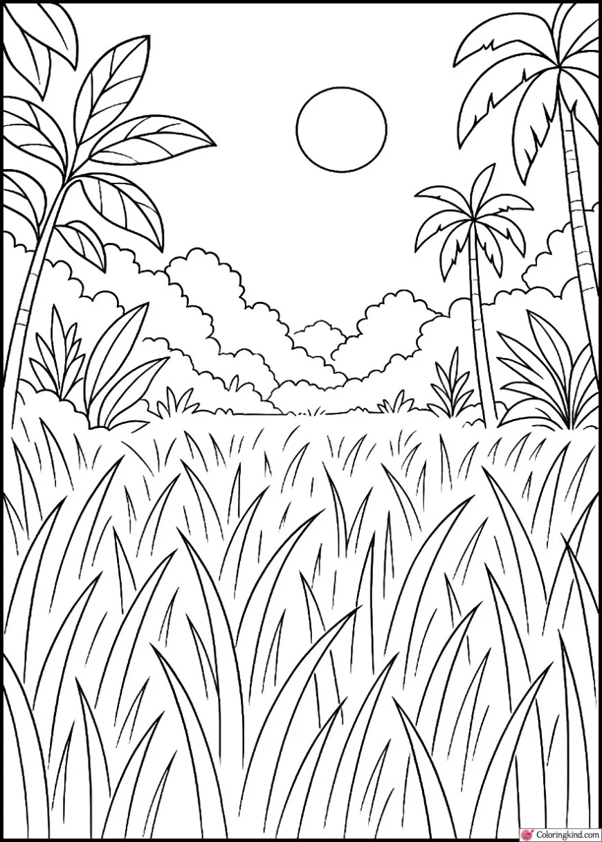 Wild Jungle Meadow With Tall Sunlit Grass