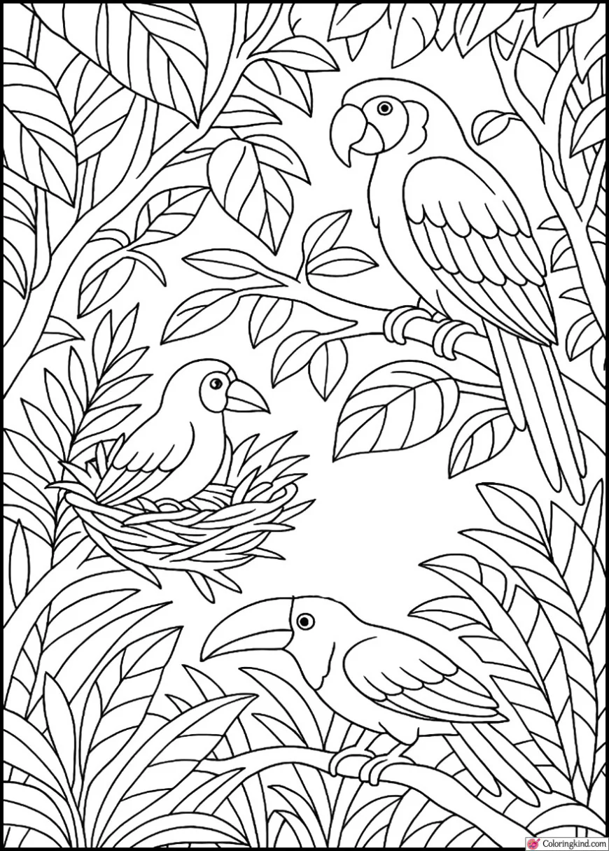 Tropical Birds Nesting in High Jungle Branches