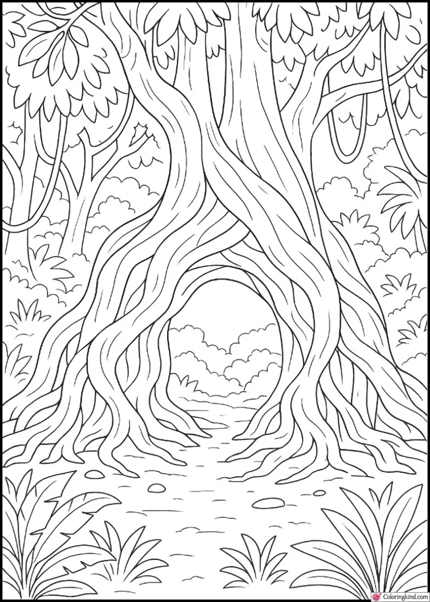 Giant Jungle Tree Roots Forming Natural Archway