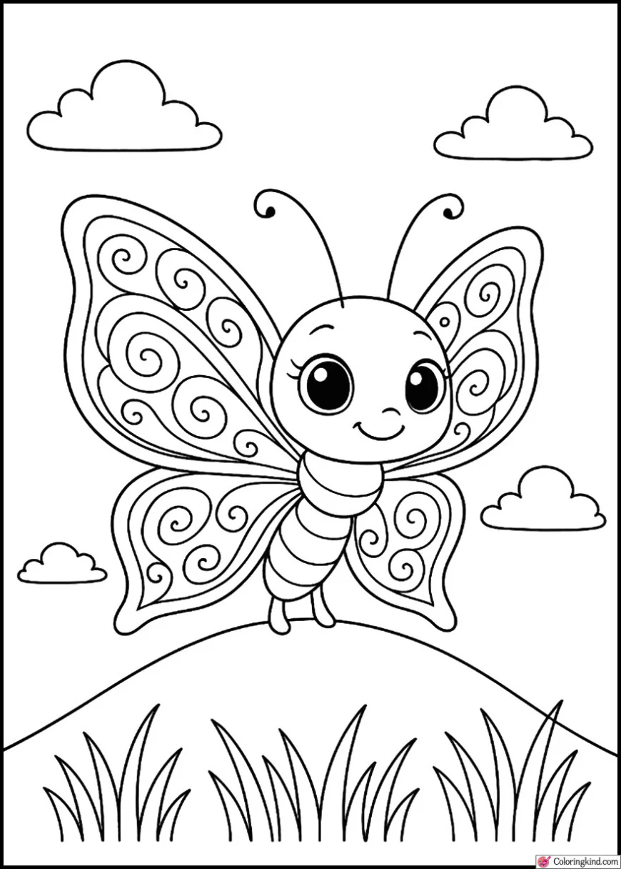 Butterfly on a Small Hill