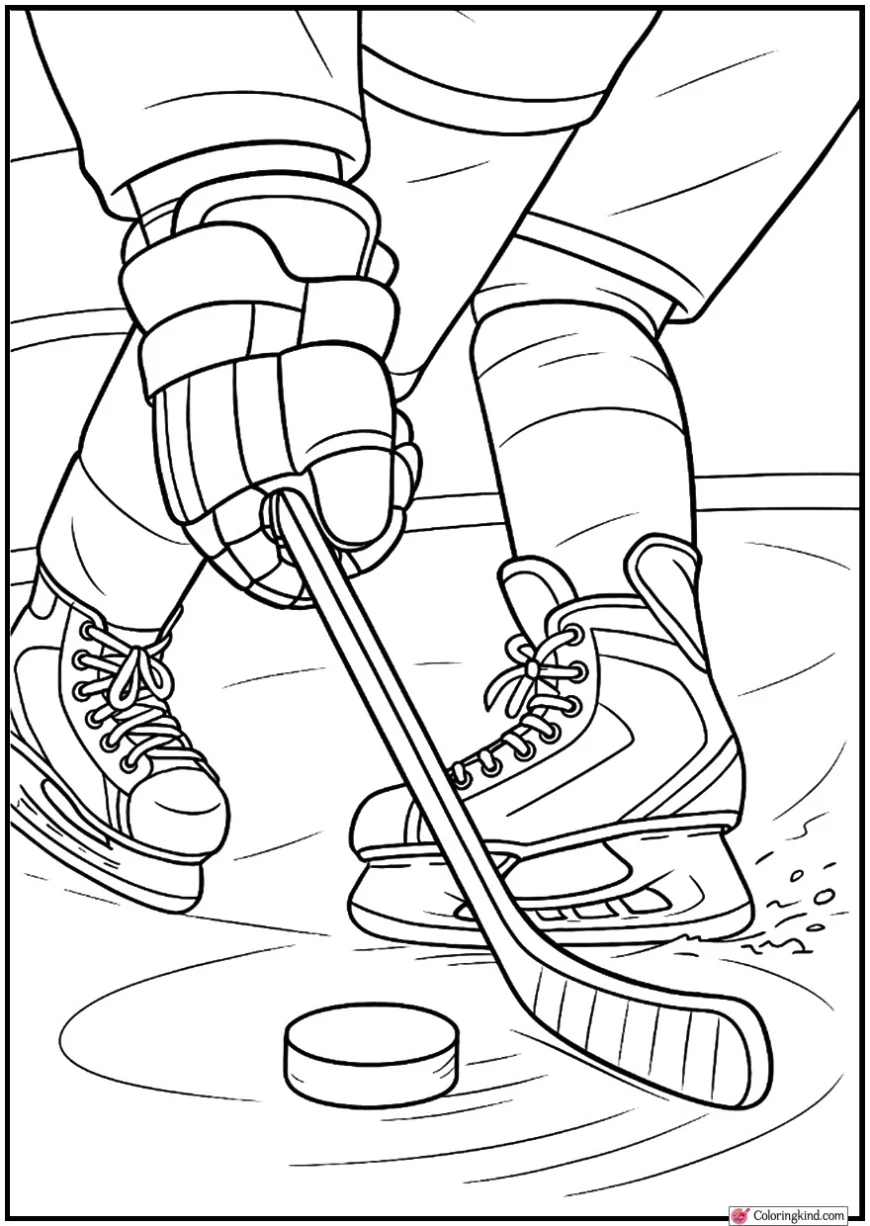 Hockey Skates Close-Up