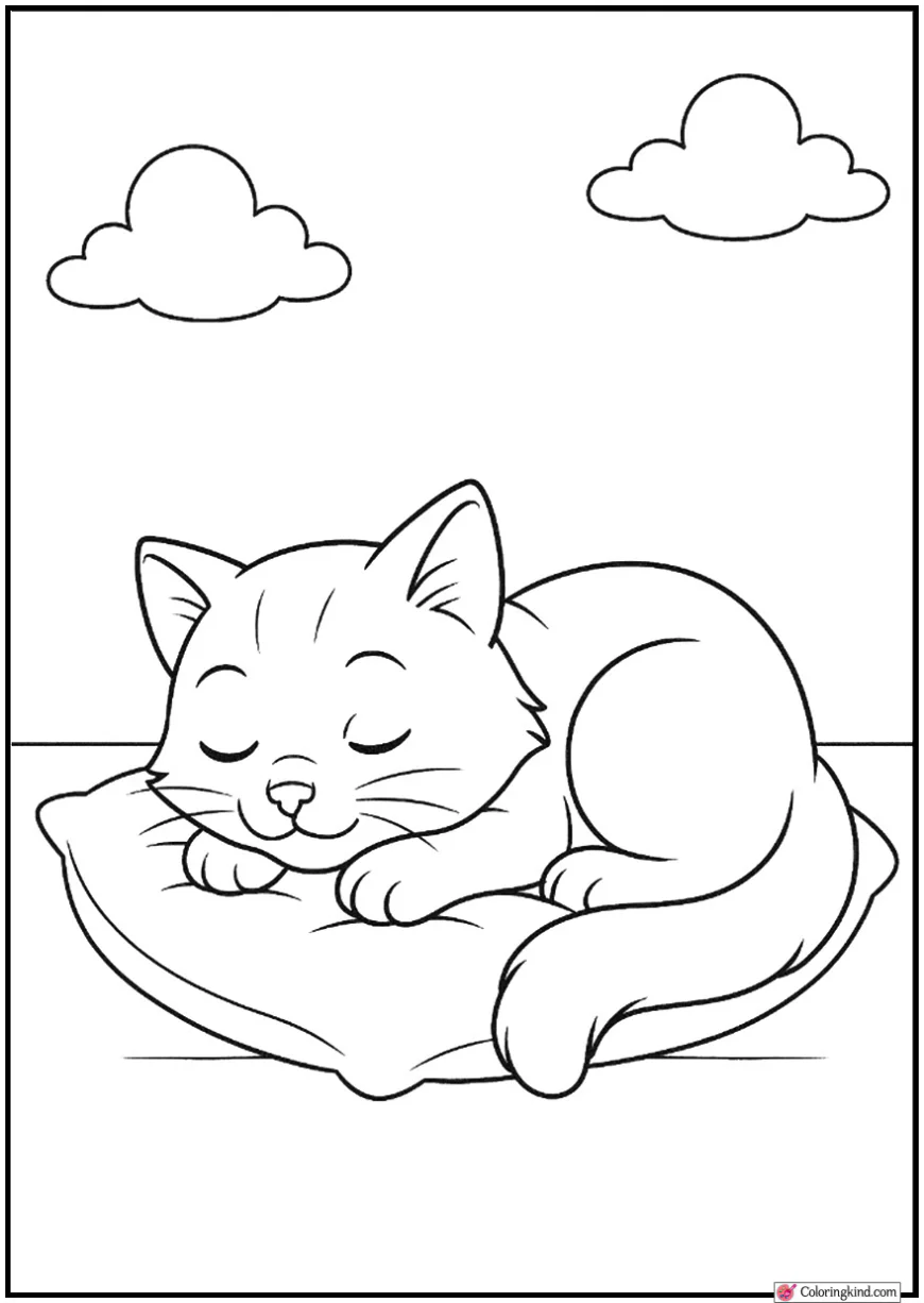 Sleeping Cat on Pillow