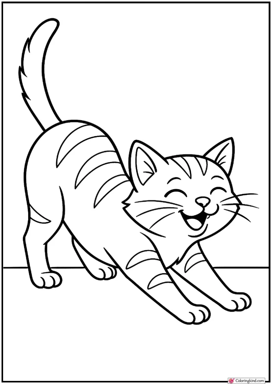 Happy Cat Stretching