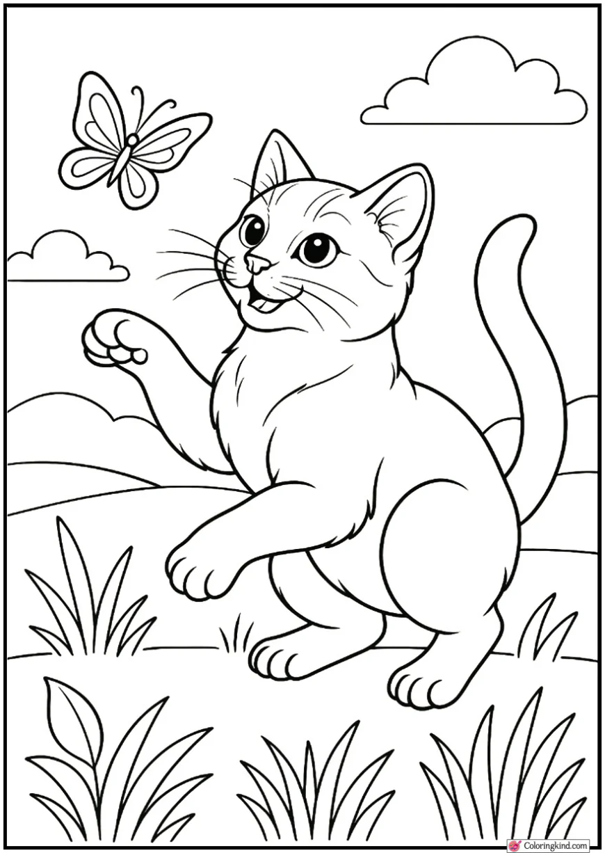 Cat Playing with Butterfly