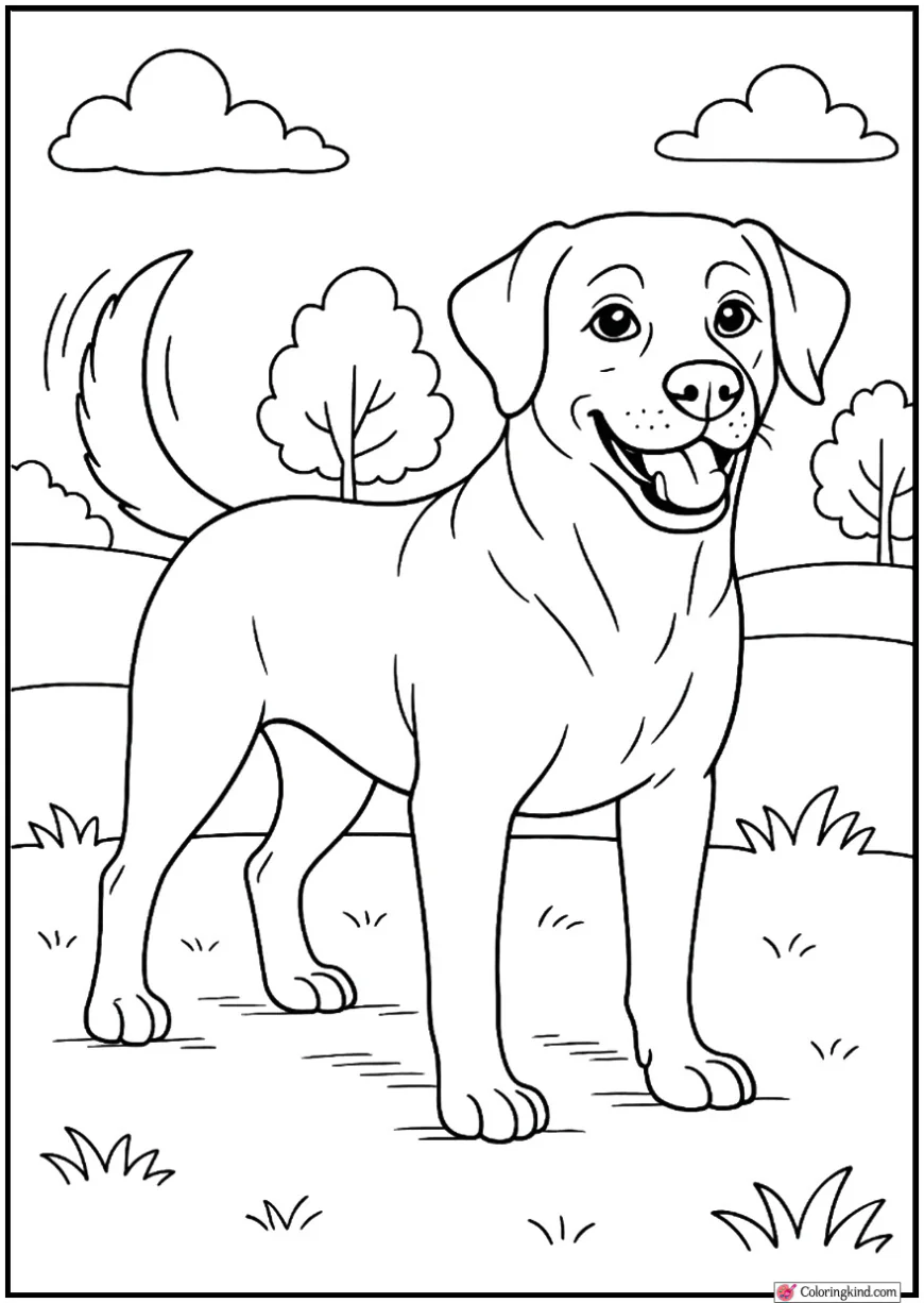 Dog Standing and Wagging Tail