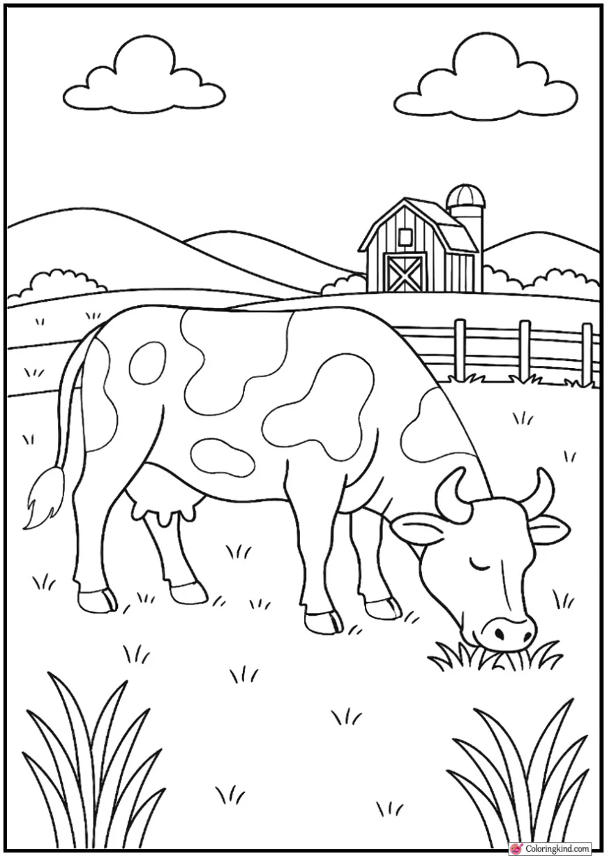 Cow Grazing in Open Field