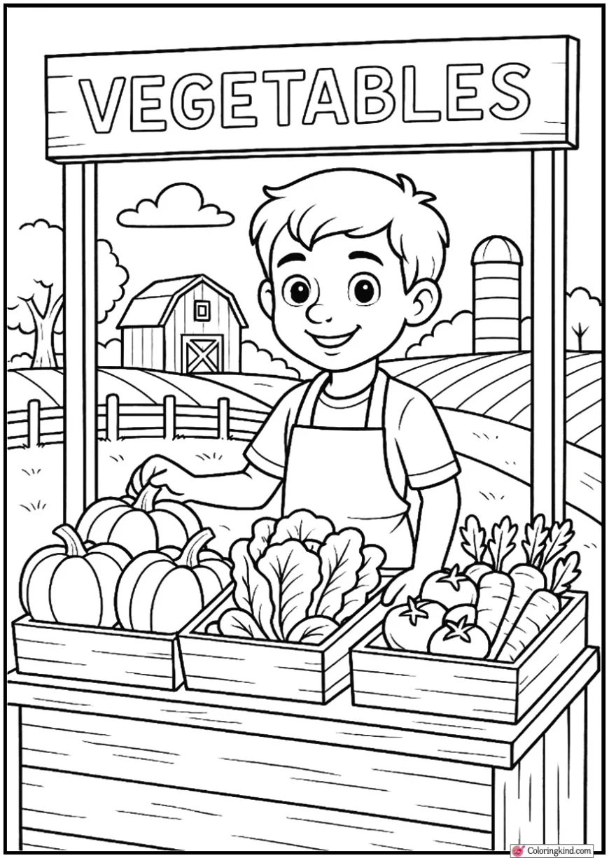 Vegetable Stand on Farm