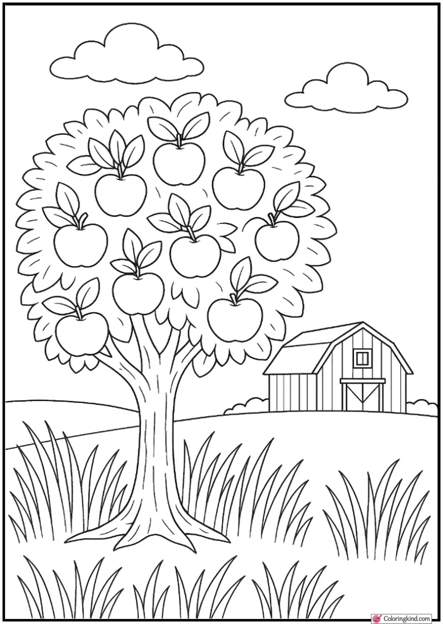 Apple Tree Beside Barn