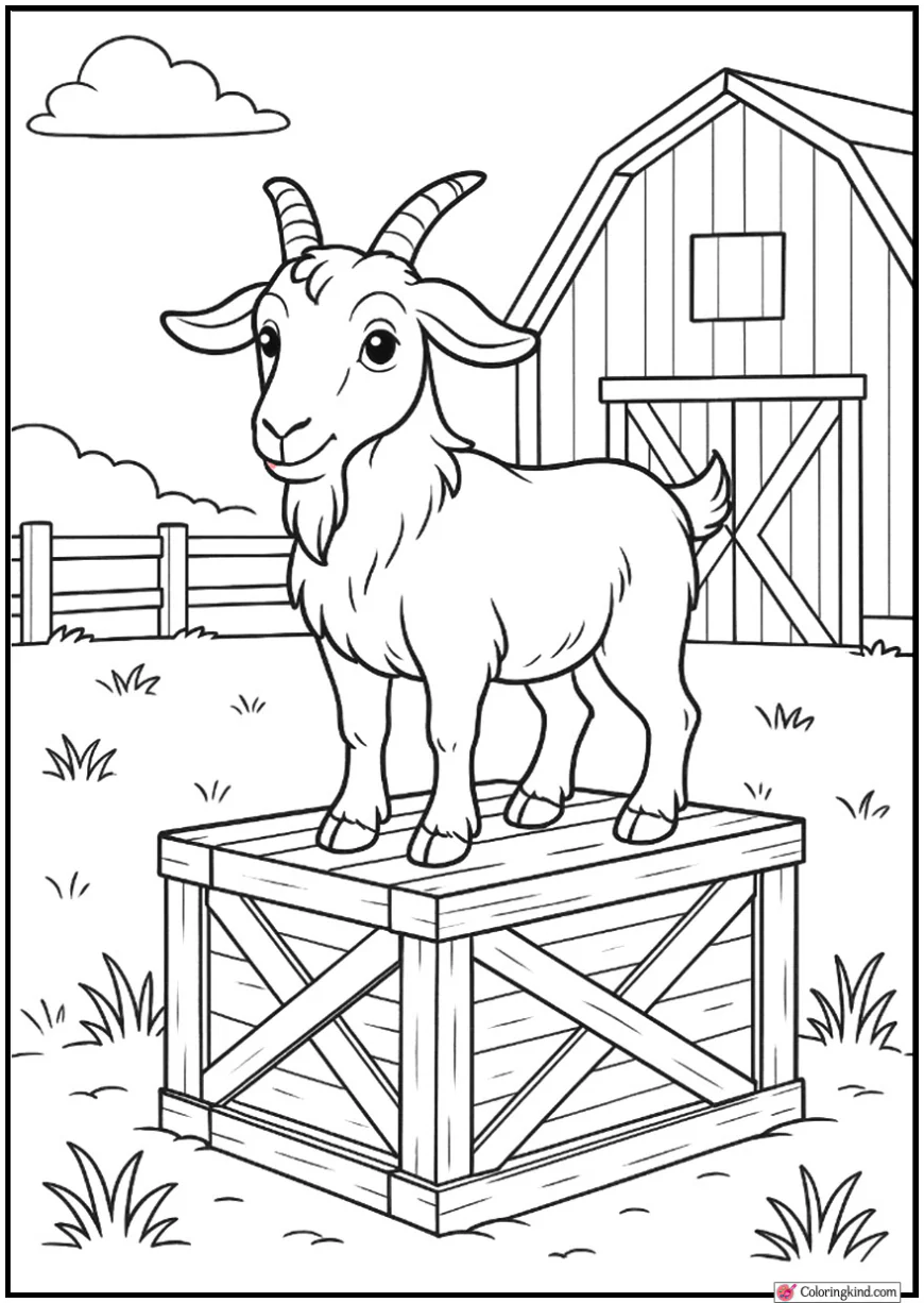 Goat on Wooden Crate