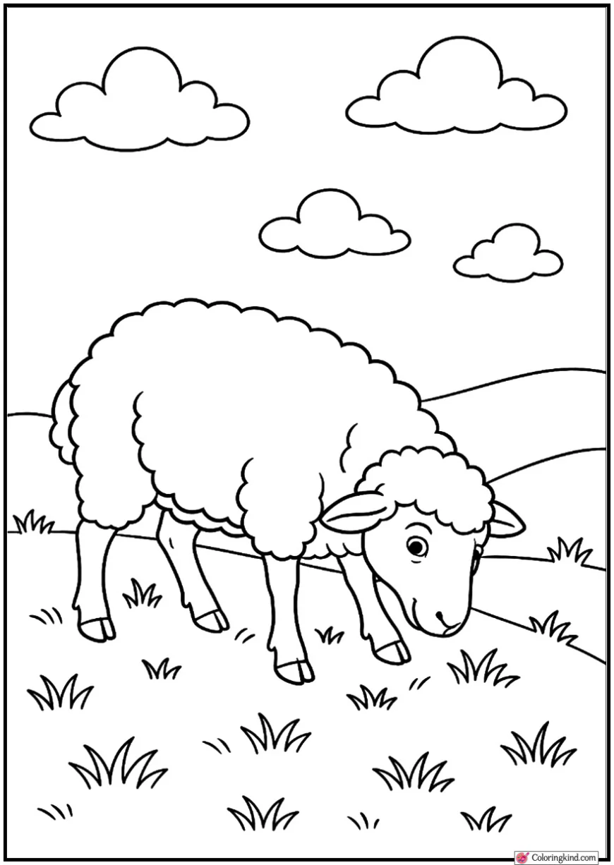 Sheep Grazing on Hill