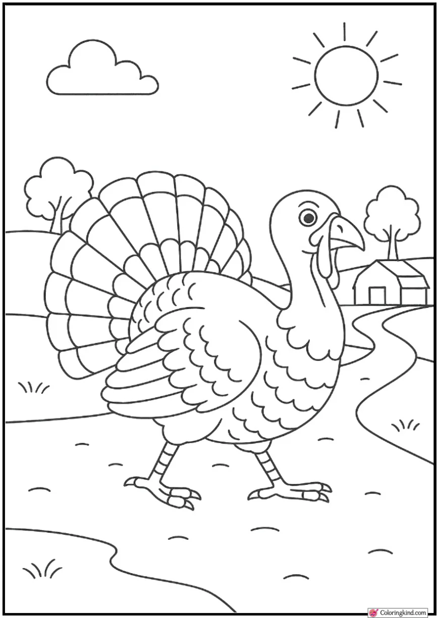 Turkey Walking on Farm Path