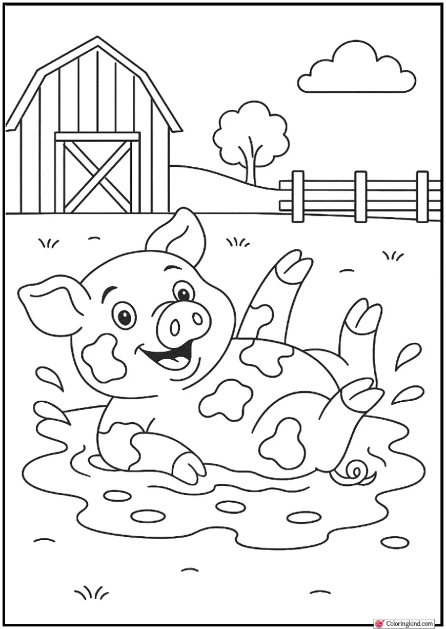 Pig Rolling in Mud Patch