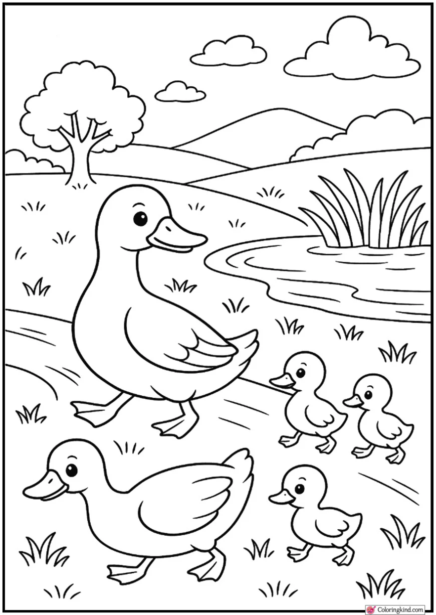 Duck Family Walking Near Pond