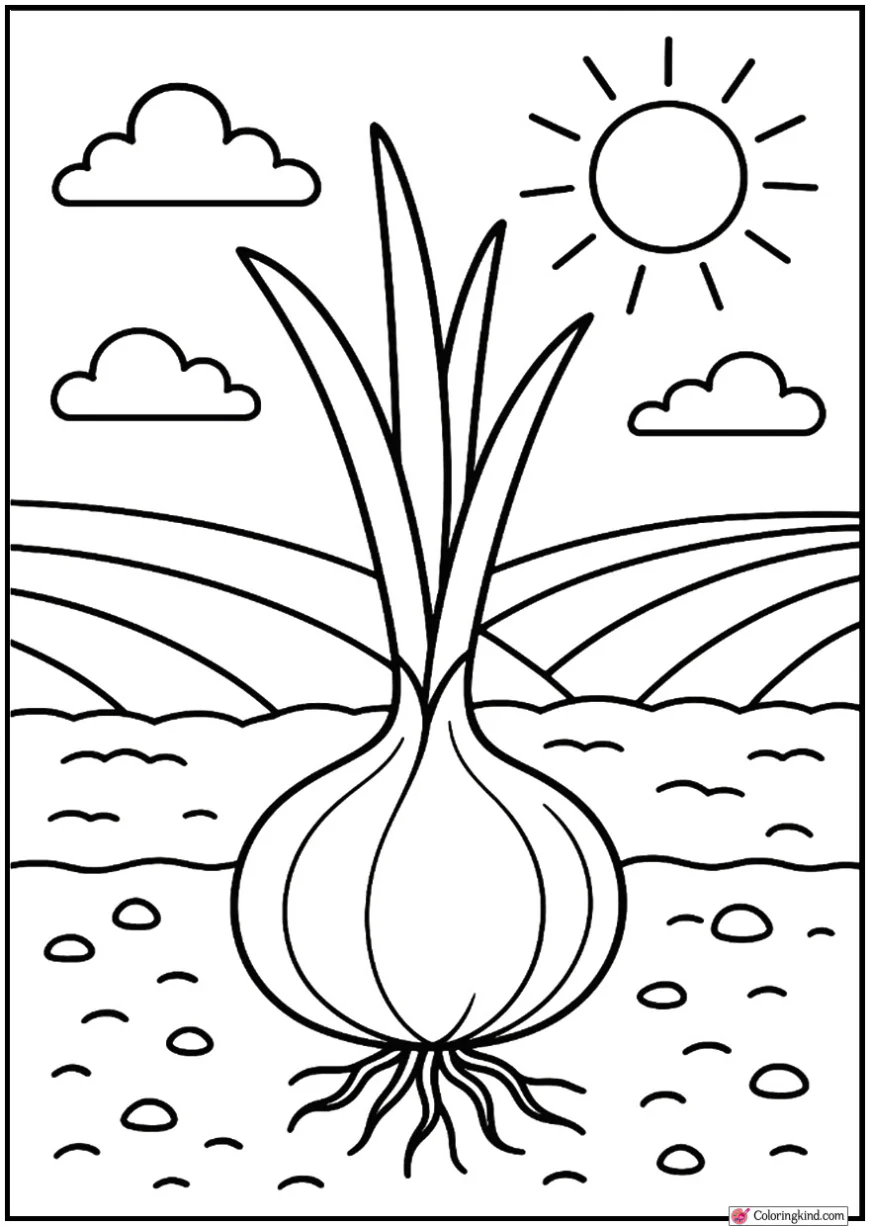 Onion Sprouting Above Soil